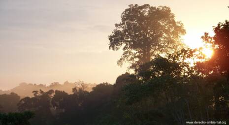 Selva - Amazonía Ecuatoriana